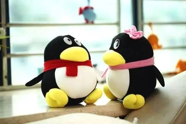 买steam号需要注意什么？